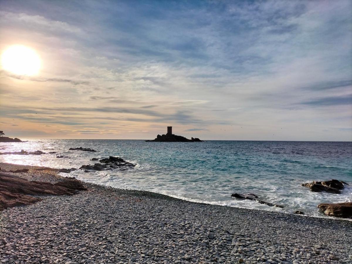 Superbe Appartement Avec Vue Mer Et Piscine Saint-Raphaël Exteriér fotografie